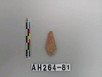 藏品(帶鋌打製石鏃)的圖片